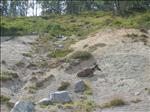 Sweden 2006-07 031